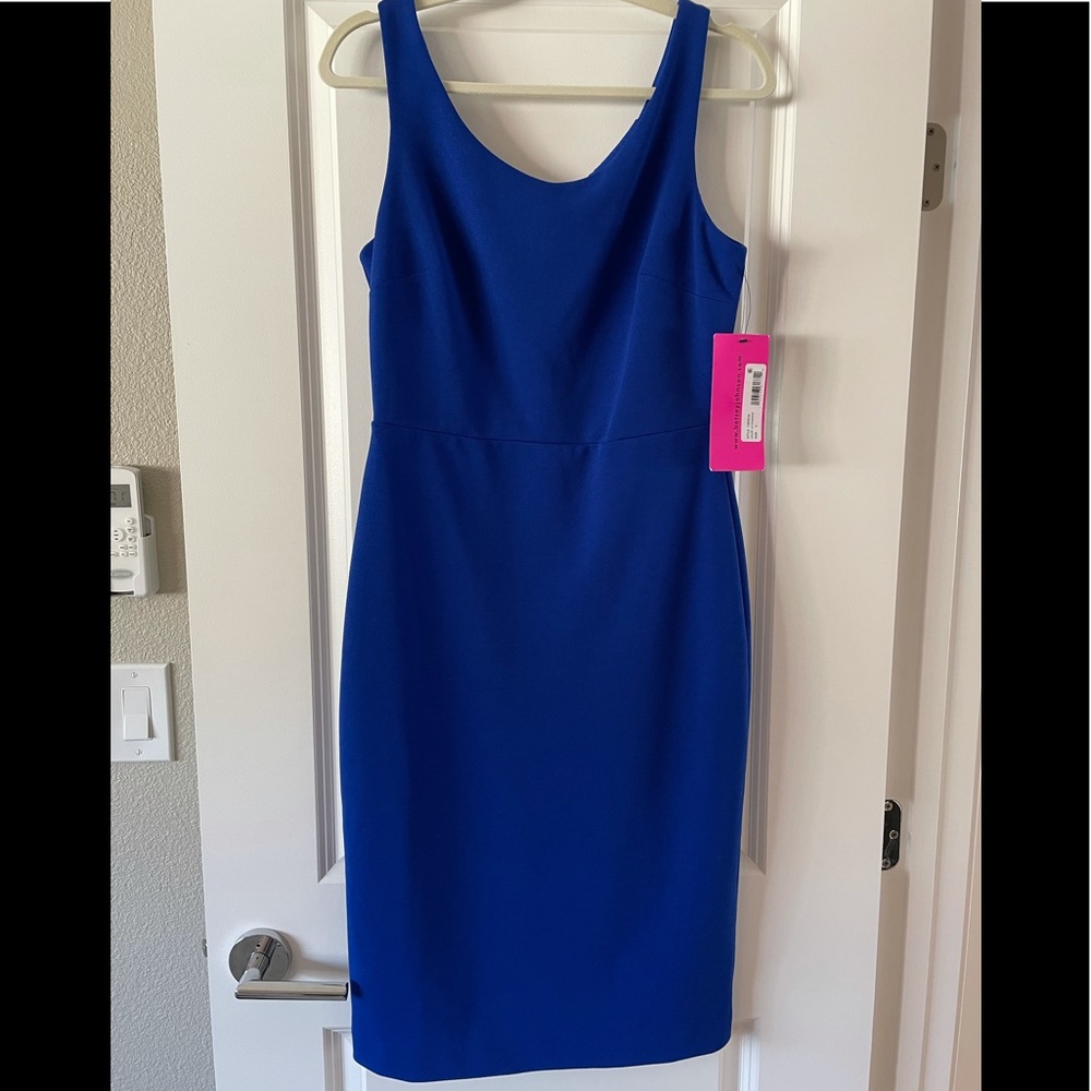 Size 6 Betsy Johnson dress